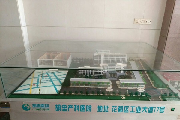 胡忠医院建筑模型