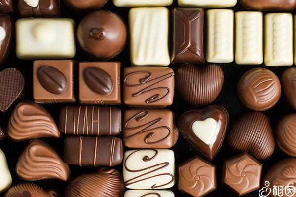 长期吃巧克力会营养不良