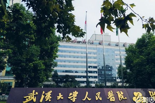 武汉大学人民医院供卵试管成功率高