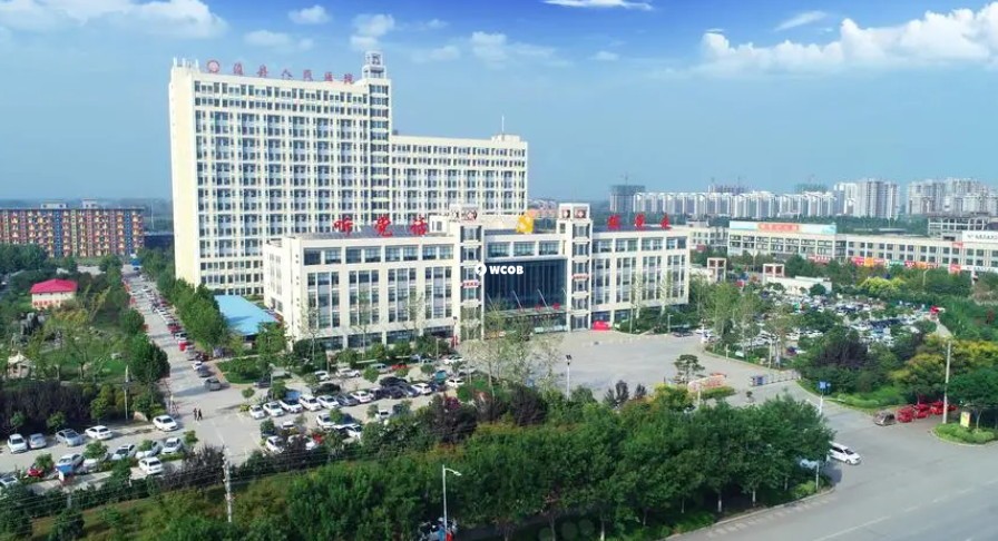 广州做三代试管婴儿成功率排名高的十大私立医院有哪些