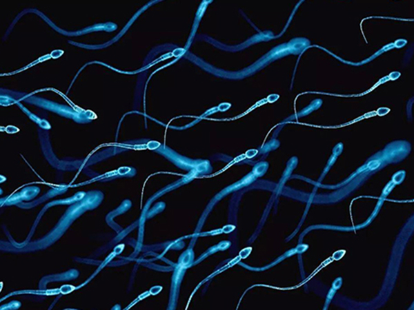 佛山的生殖中心没有与省内精子库合作